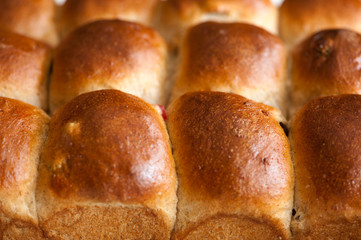 Rows of buns