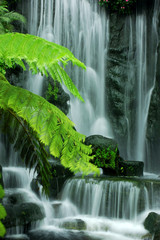 Garden waterfalls
