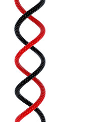 DNA red and black