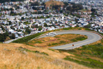 Miniature limo
