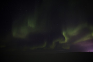 Aurora borealis in the night sky