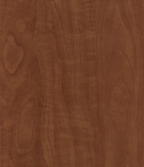 Texture wood closeup