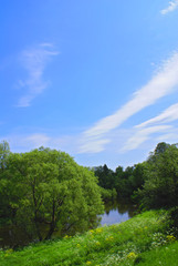Summer landscape 2