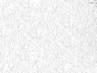 white shell texture