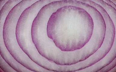 Close view of cut red onion