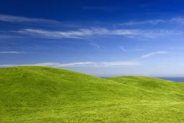 Rolgordijnen Green Meadow © ikostudio