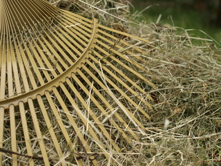 Ramassage du foin