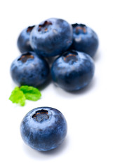 blueberry isolated on white background