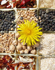 céréales et légumineuses bio