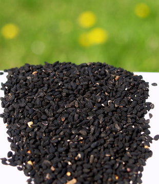 nigelle