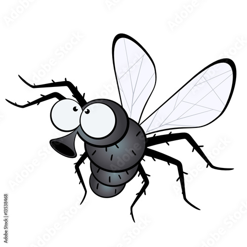 animated fly clipart - photo #22