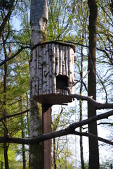 bird box