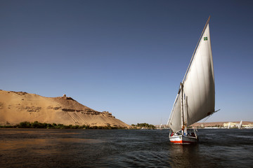 Fototapeta premium Faluka Sailing on The Nile in Egypt