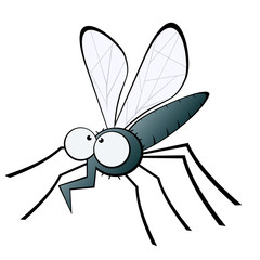 mücke moskito fliege - obrazy, fototapety, plakaty