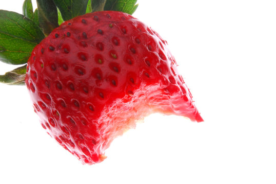 biten strawberry