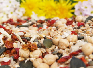 légumes secs...équilibre alimentaire