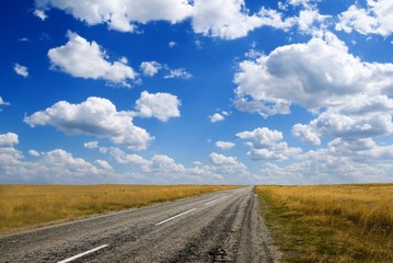 Fototapeta premium summer road living far