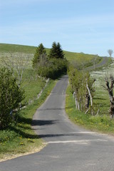 paysage d'aubrac