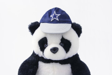 Soft Toy Panda Wearing Cap