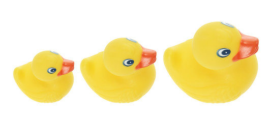 Rubber Ducks