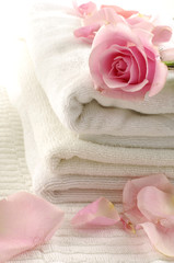 Roses over towel