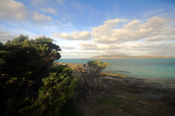 Obraz premium Stintino