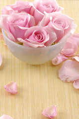 Pink rose flowers floating in a bowl with water and petal