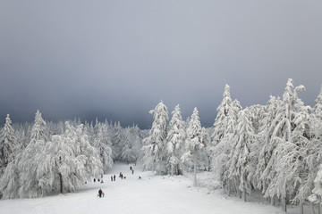 Winterlandschaft