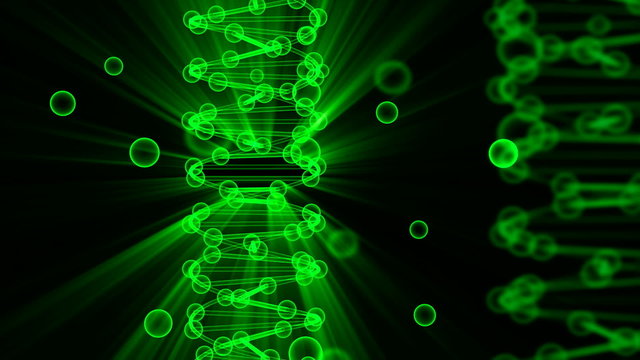 DNA