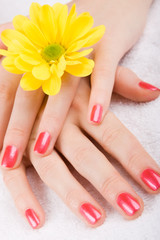 care for beautiful woman hands