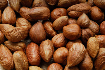 fresh hazelnuts