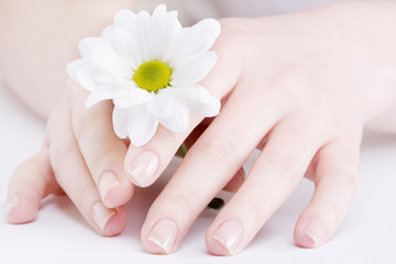 Beautiful female hands..