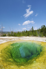 Morning Glory pool