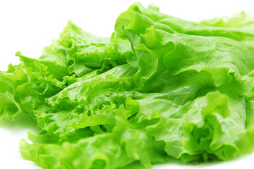 Lettuce