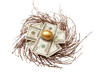 Nest egg of cash & gold egg