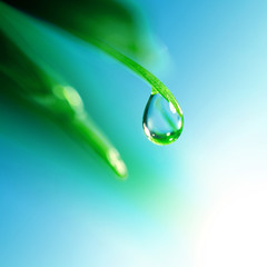 shine water drop