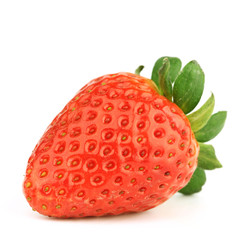 one strawberry
