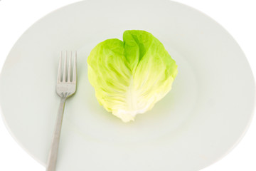single lettuce leaf on a plate