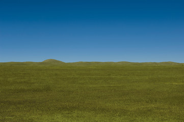Obraz na płótnie Canvas Open Meadow