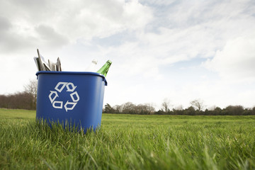 Blue recycling bin sitting on grass