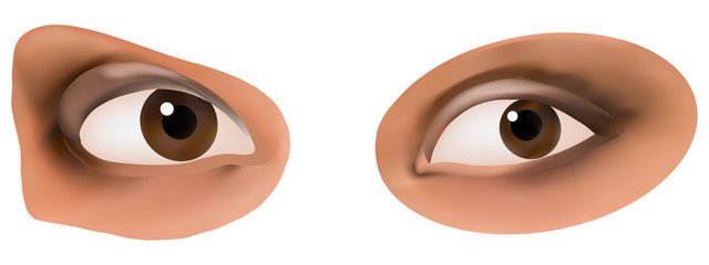 woman eyes vector illustration
