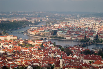 Fototapeta premium red roofs of prague