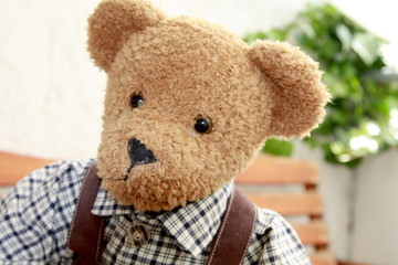 Teddybär mit Hosenträgern und Karohemd