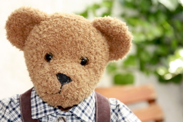 Teddyb&auml;r mit hosentr&auml;gern und trachtenhemd