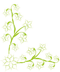 Fototapeta na wymiar Floral hellgrün Blüten