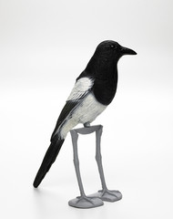 Decoy magpie