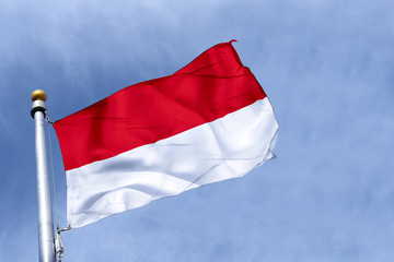 Fototapeta na wymiar Polska flaga