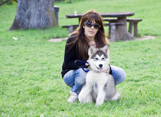 Husky Malamute © Piero Gentili