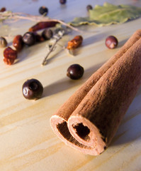Canelle et &eacute;pices