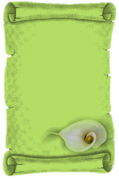 parchemin vert anis